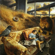 Image for article titled Fred Einaudi’s Unexpected Visions of the Apocalypse